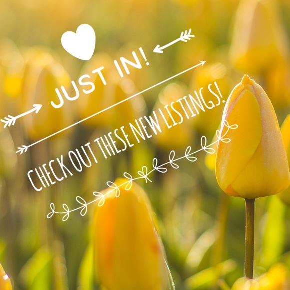 NEW LISTINGS!! - Picture 4 of 4